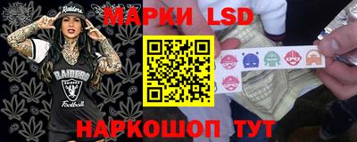 apvp Канаш